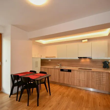Efi Residence Holzova 28 Brno Exterior photo