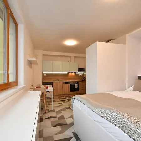 Efi Residence Holzova 28 Brno Exterior photo